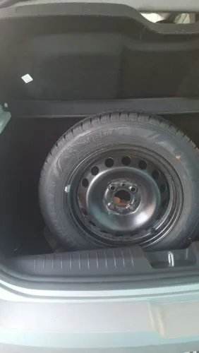 Penus