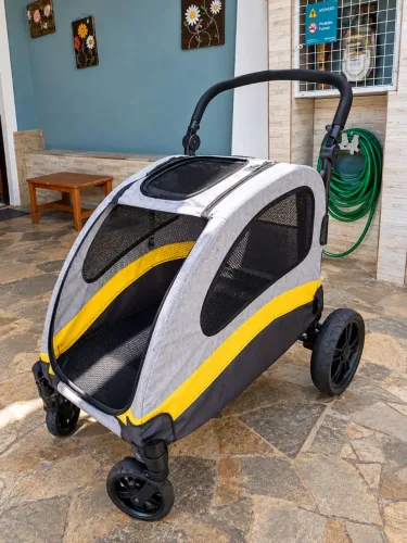 Carro Passeio Pet Grande Porte Usado