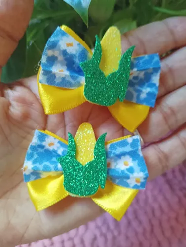 Laços para pet 