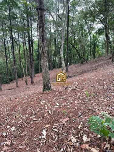 Terreno à venda, 1500 m² por R$ 230.000,00 - Estância Santa Maria do Portão - Atibaia/SP