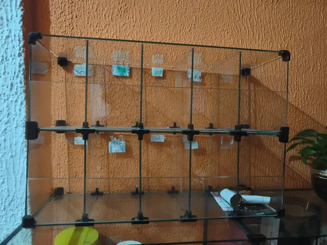 Balcão Expositor de Vidro Modulado + Mini Colmeia Organizadora para Loja / Armarinho