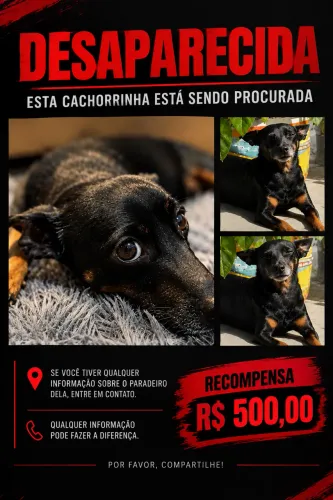 Desaparecimento