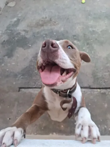 Doação