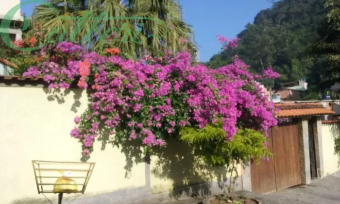 CASA RIO DE JANEIRO TAQUARA
