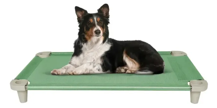 Cama Suspensa para Cachorros Confortável e Higiênica de Poliéster
