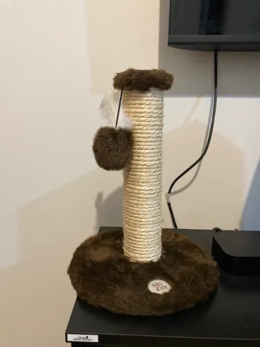 Arranhador de Gato