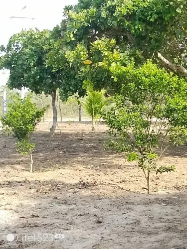 Vendo ou troco por carro,um lindo sítio