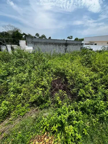 PASSAREDO, LOTE COM 11 X 25, 275M2, TODO DOCUMENTADO R$250 MIL