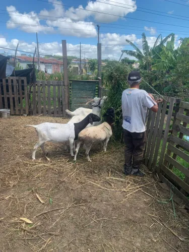 Agro e indústria