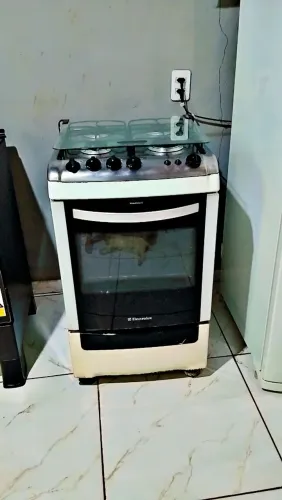 fogão 