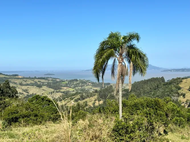LINDO 8.3 HECTARES VISTA PARA LAGOA! ESCRITURA PÚBLICA