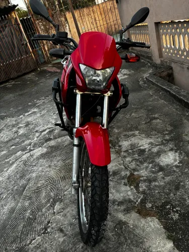 Falcon