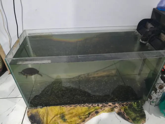 Aquário de 200L