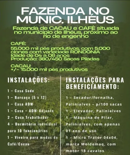Oportunidade