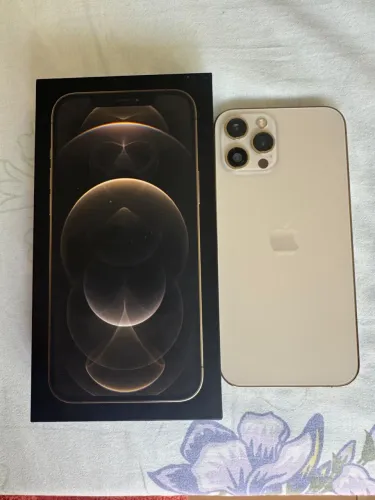 iPhone 12 Pro Max 256G