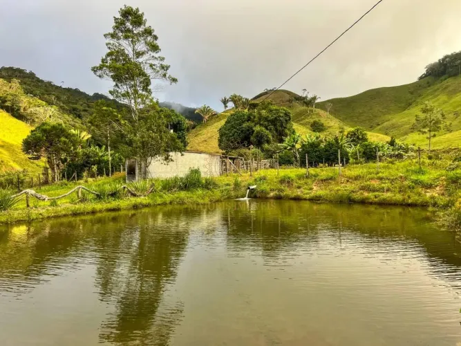 Terrenos excepcionais com pasto formado, vista para o mar, nascente e córregos - OPORTUNID