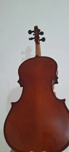 Violino
