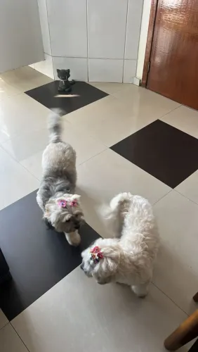 Doação