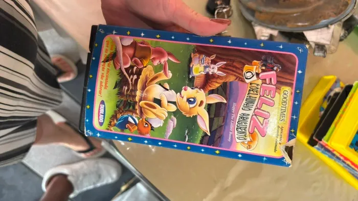 VHS FELIZ O COELHINHO BRIGUENTO