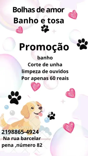 Banho e tosa