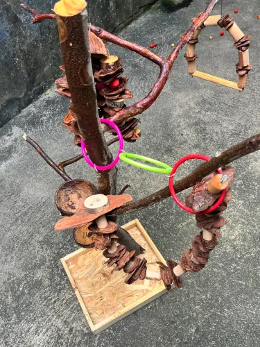 Vende-se Poleiro de Madeira Artesanal para Aves 