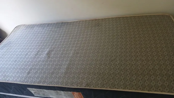 Cama