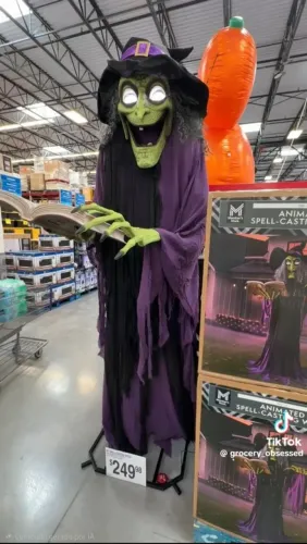 Garanta logo essa BRUXA para que ela seja o grande destaque da sua FESTA de HALLOWEEN.