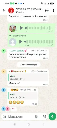 Filhote de Pitbull 