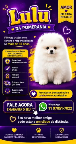 Lulu da Pomerania 