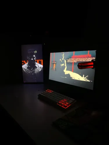 Monitor Game