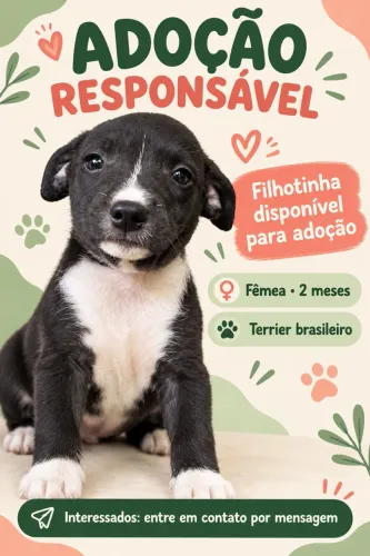 Doa se terrier brasileiro fêmea 2 meses
