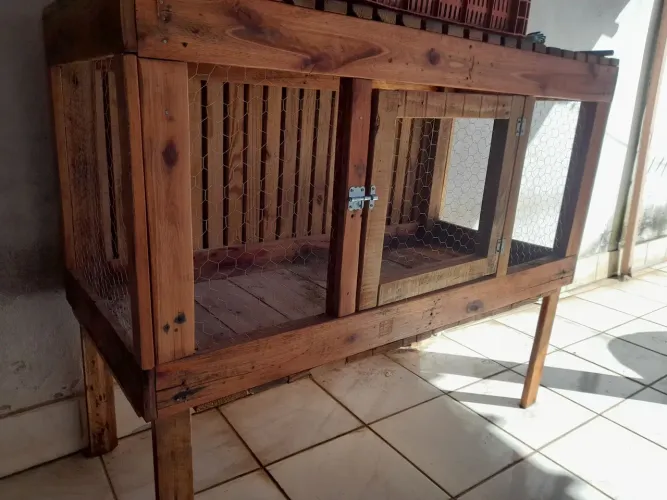 Viveiro pinteiro na região de Anápolis