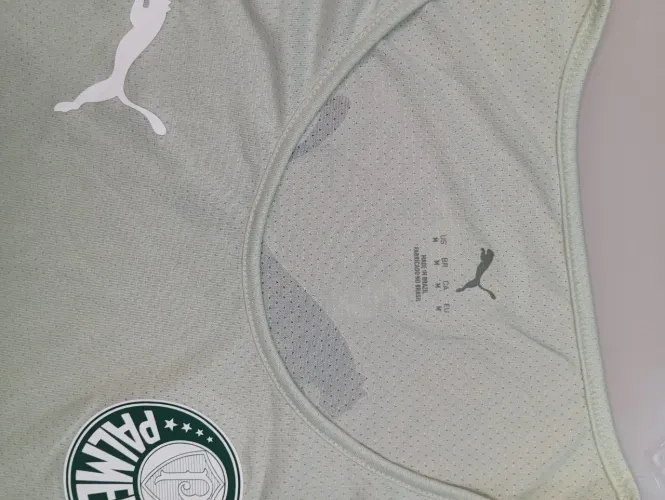 Regata Palmeiras