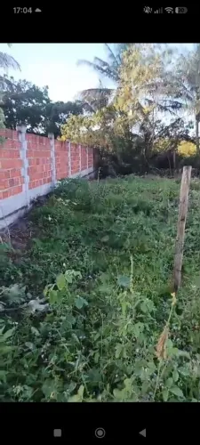 Vendo terreno em Canavieiras-Bahia