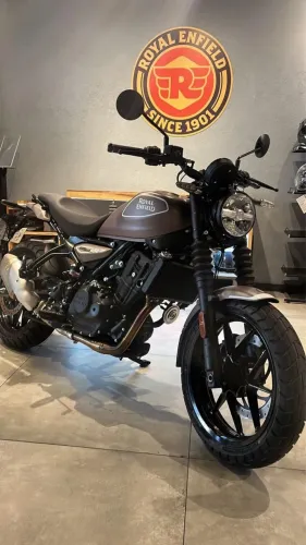 Guerrilla 450 / Peix Bronze - Letícia
