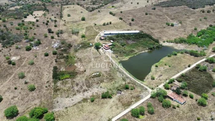Propriedade com 60 Hectares em Altinho - Estrutura de Aviário completa