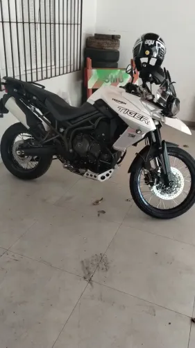 Tryump Tiger