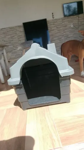Casinha de cachorro