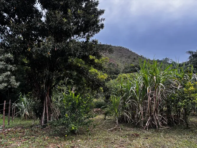 Excelente lote em Ewbank da câmara