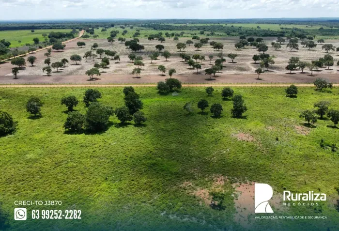 FAZENDA 645 ALQUEIRES | 1.000 HA FORMADOS + 950 HA EM EXPANSÃO