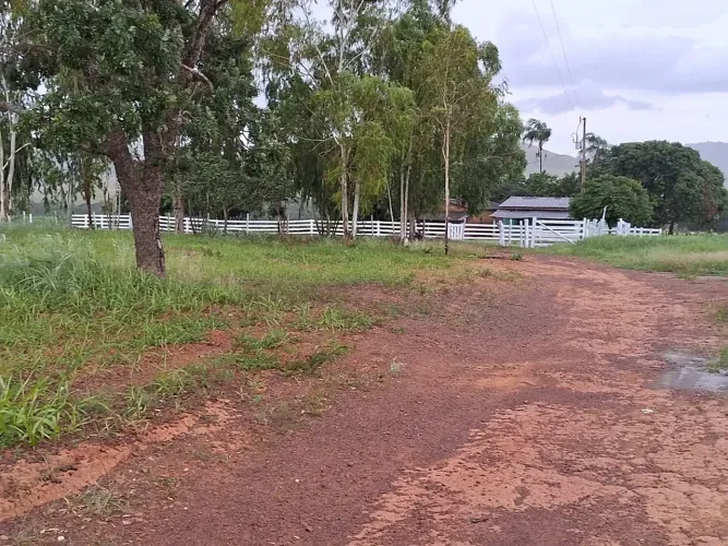 Vendo com Exclusividade Excelente Fazenda 117 Hectares em Formoso-MG !!! 2.300.000 !!!