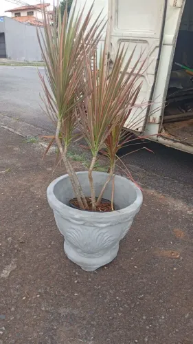 Vasos para plantas