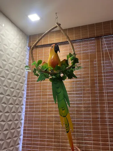 Papagaio decorativo em madeira