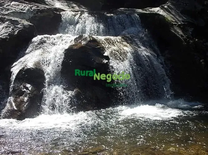 FAZENDA COM RIBEIRÃO E PASTO FORMADO Á VENDA EM SILVEIRAS-SP