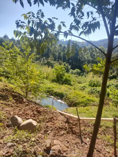 Vendo chácara 50km de Bento Gonçalves