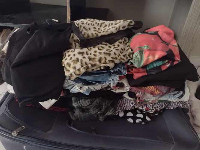 Lote de roupas femininas - várias peças