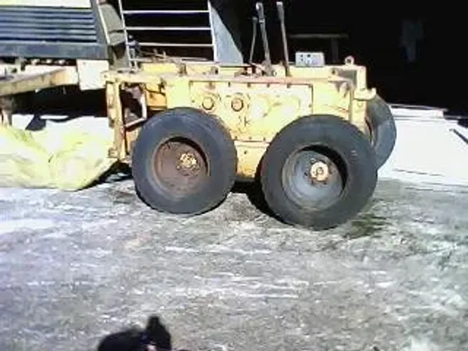 Bobcat