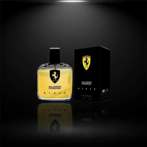 Perfumes Importados 100ml