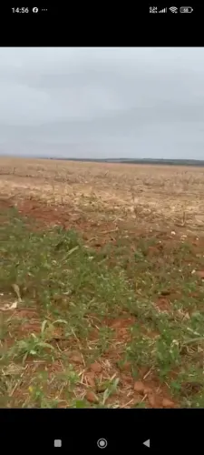 Fazenda arrendamento repasse, 2000 mil hec em Nova Motum MT. 
