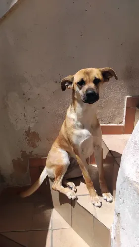 Doação Responsável  ?